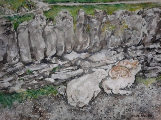 Cats Sleeping on Sheep – Watercolor, 13×17
