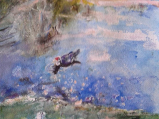 Ducks on a Pond – Watercolor, 11×14
